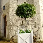 Manoir Du Bois Noblet Bed & Breakfast