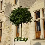 Bed & Breakfast Manoir Du Bois Noblet Louerre