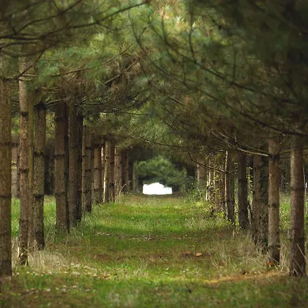 Manoir Du Bois Noblet Louerre